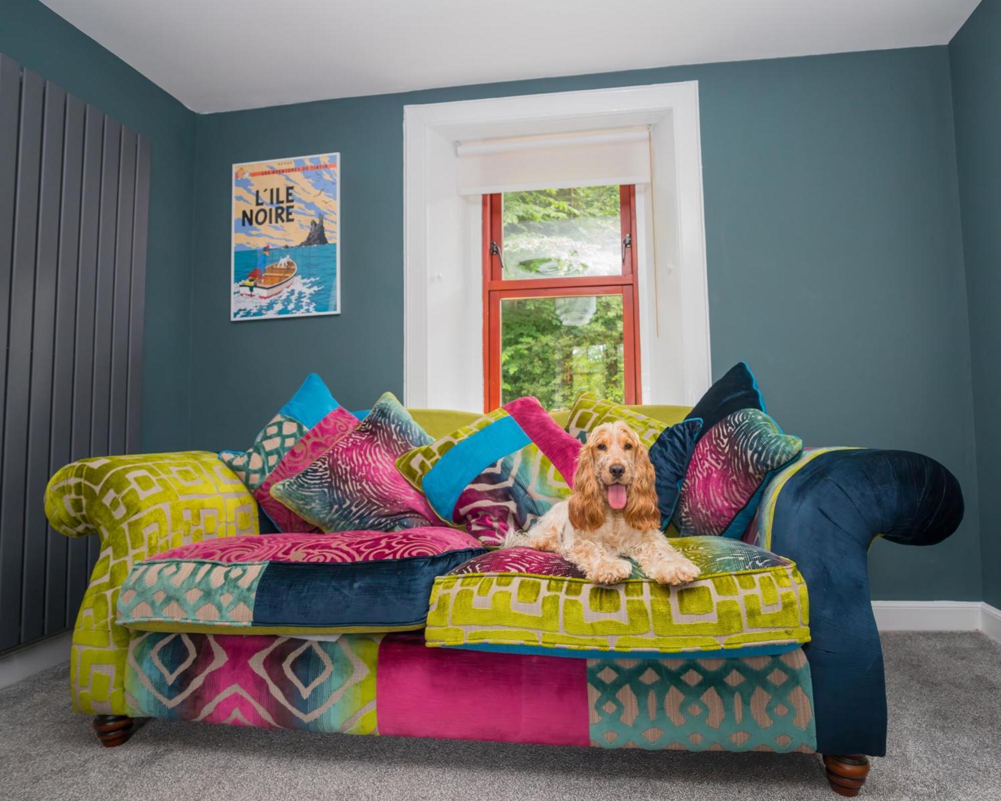 Tig Cottage - A Rural, Quirky, Pet Friendly 2 Bedroom Cottage Near Ballantrae Εξωτερικό φωτογραφία