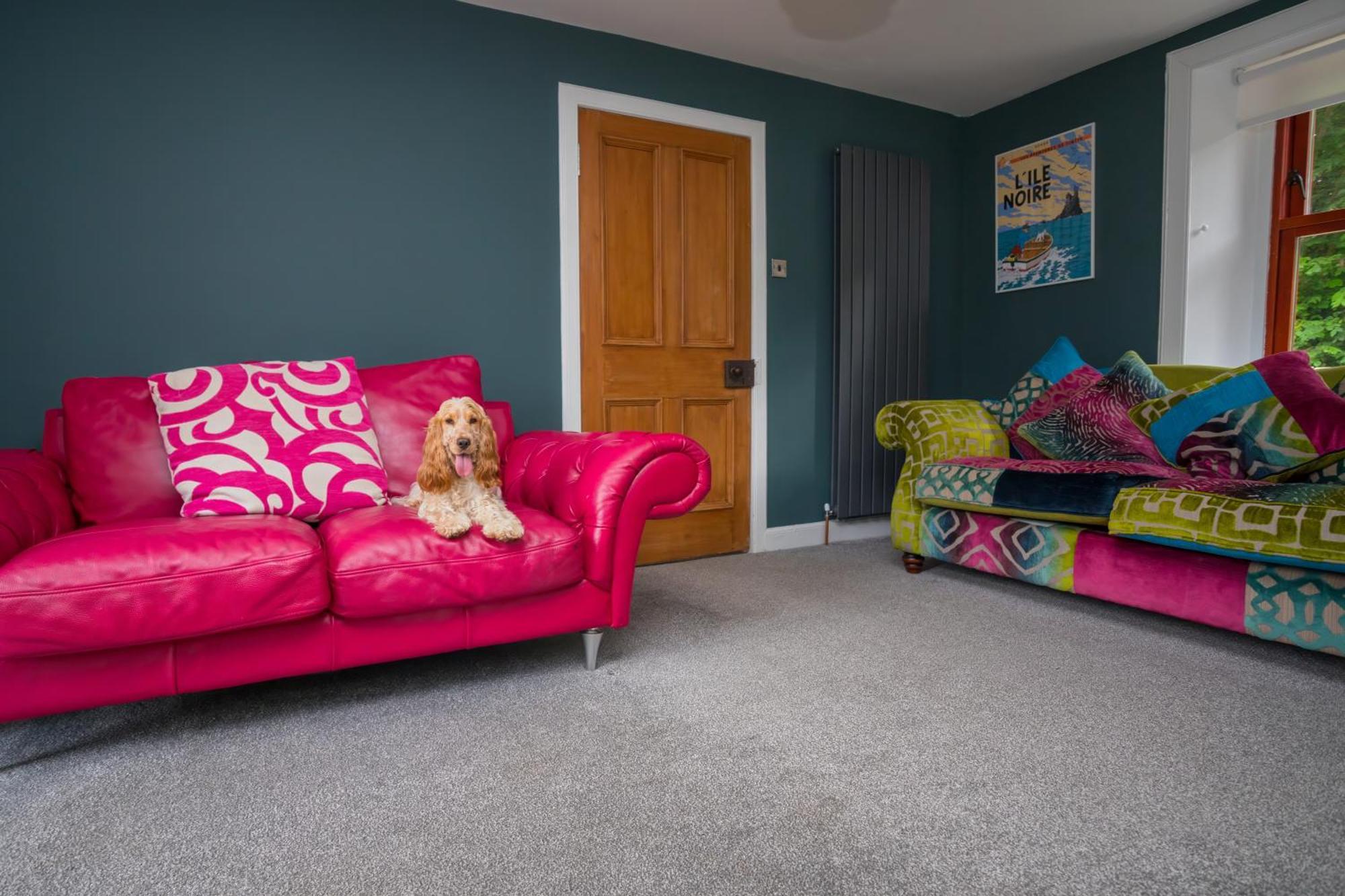 Tig Cottage - A Rural, Quirky, Pet Friendly 2 Bedroom Cottage Near Ballantrae Εξωτερικό φωτογραφία