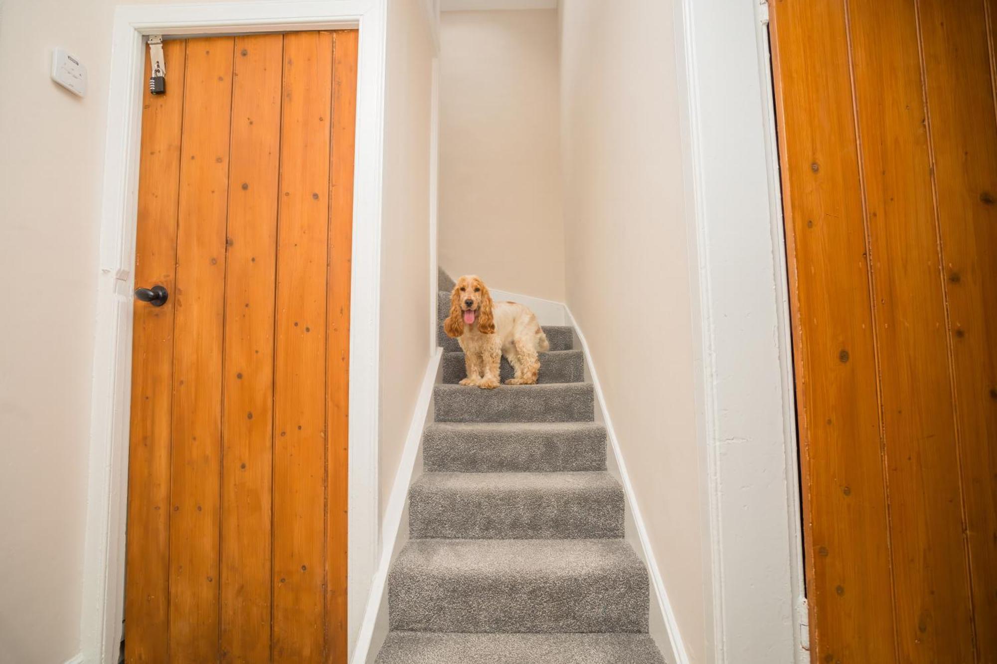 Tig Cottage - A Rural, Quirky, Pet Friendly 2 Bedroom Cottage Near Ballantrae Εξωτερικό φωτογραφία