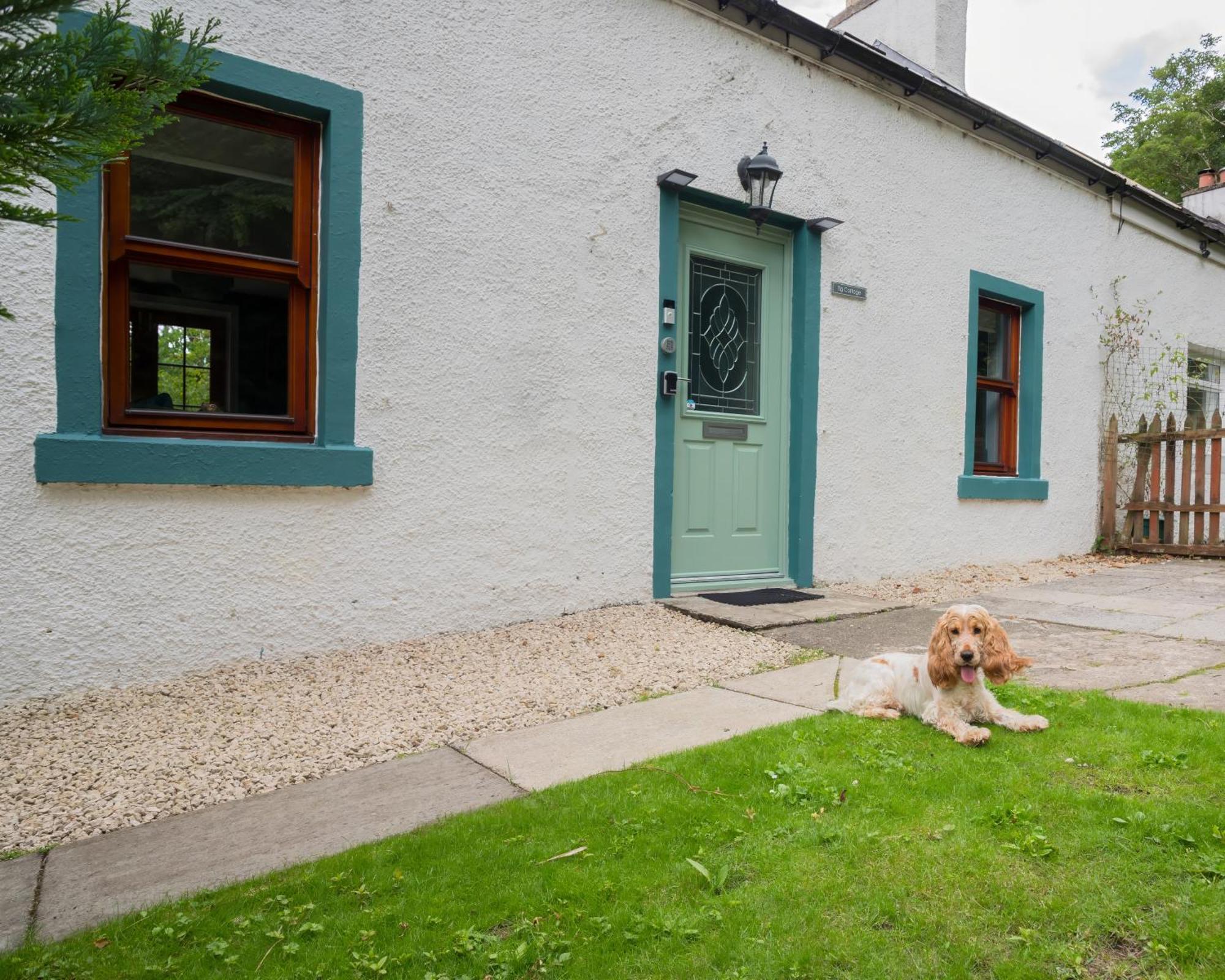 Tig Cottage - A Rural, Quirky, Pet Friendly 2 Bedroom Cottage Near Ballantrae Εξωτερικό φωτογραφία
